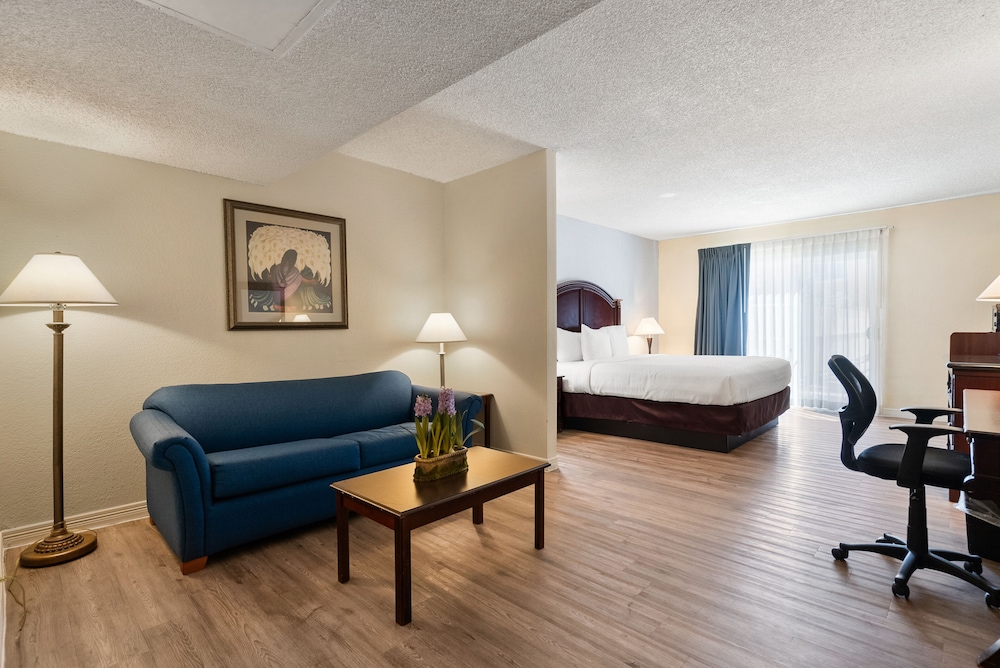 Single Room, 1 King Bed with Sofa bed photo 2