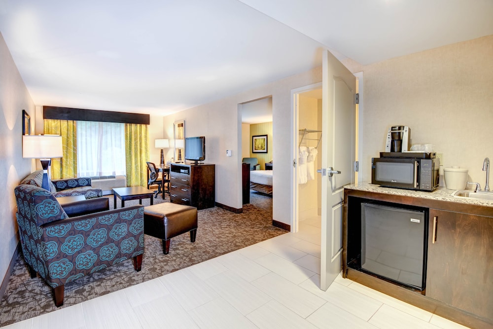 Suite, 1 King Bed with Sofa bed, Accessible