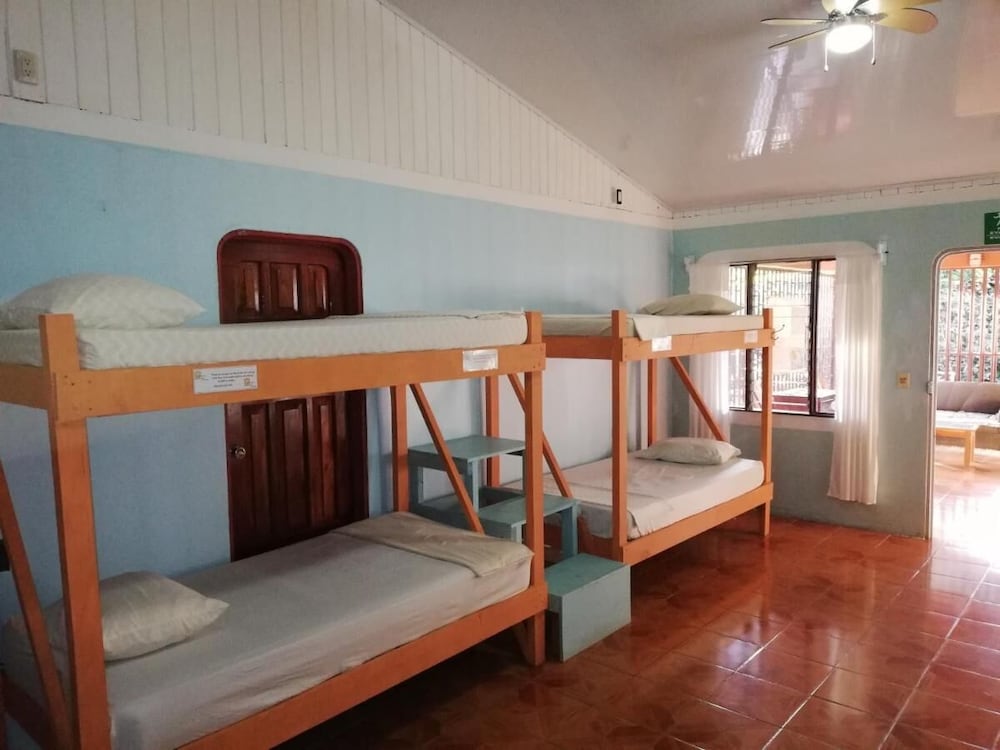 Economy Shared Dormitory photo 1