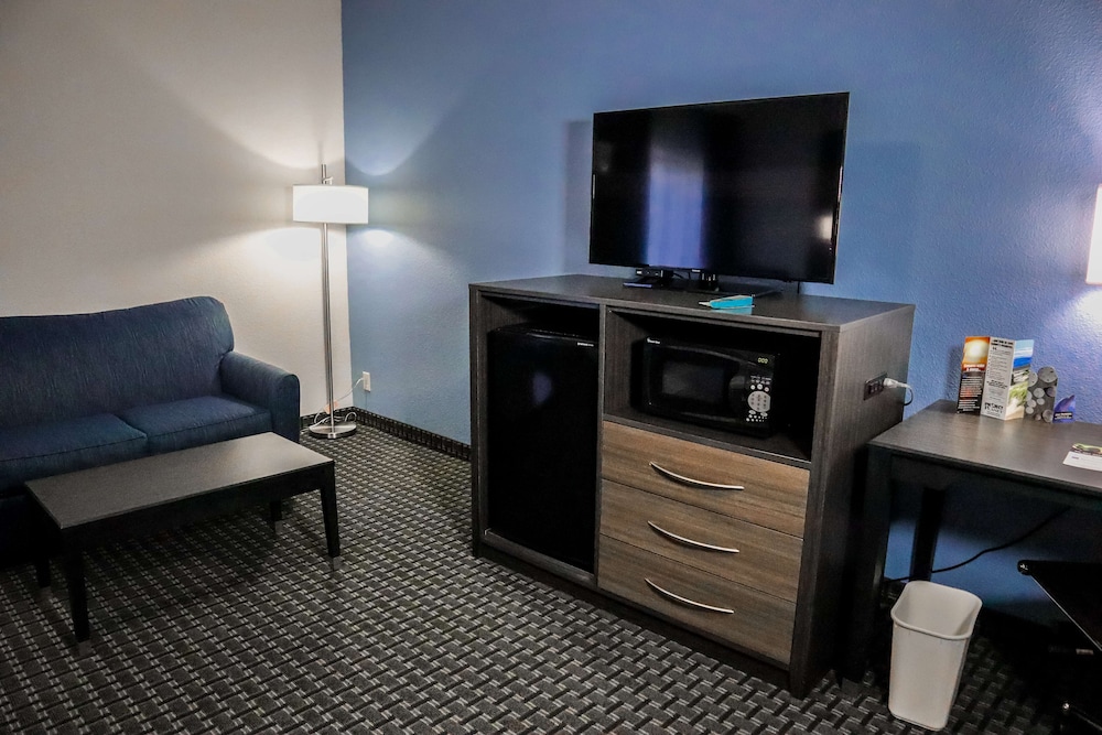 Standard Room, 1 King Bed, Non Smoking, Refrigerator & Microwave (Larger Room;with Sofabed) - Photo 4