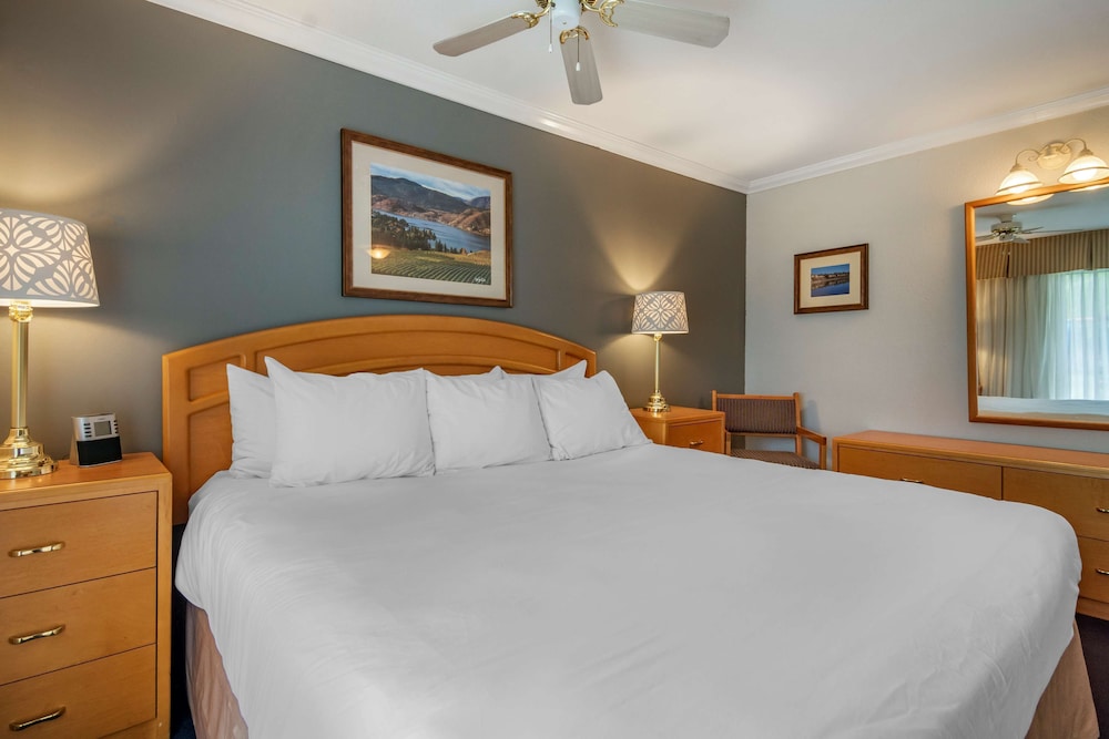 Standard Room, 1 King Bed, Non Smoking, Refrigerator & Microwave photo 1