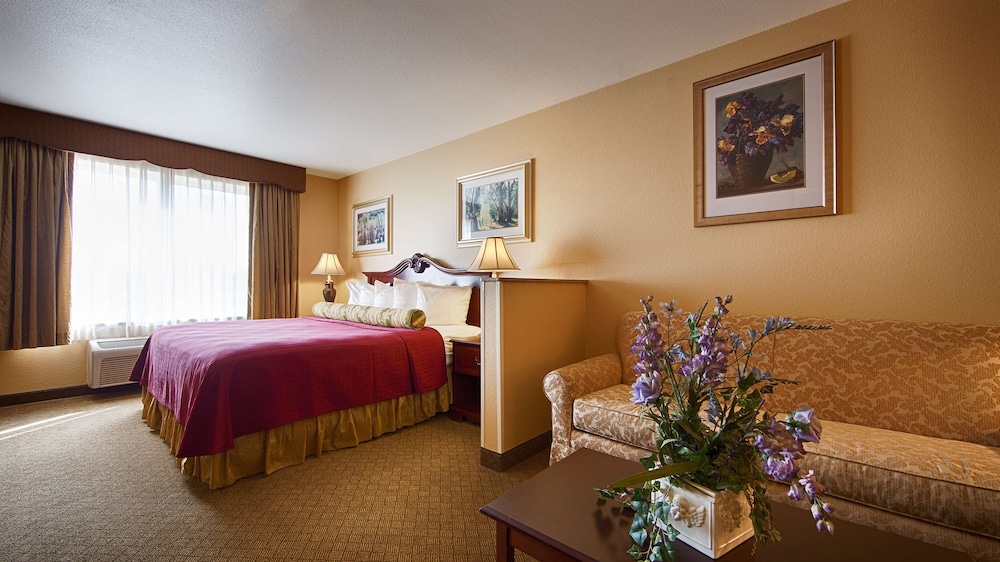 Business Suite, 1 King Bed, Non Smoking, Refrigerator & Microwave photo 1