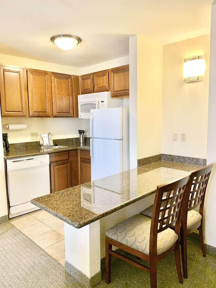 Suite, 1 Bedroom, Kitchen (2 Dbl Beds) - Photo 6