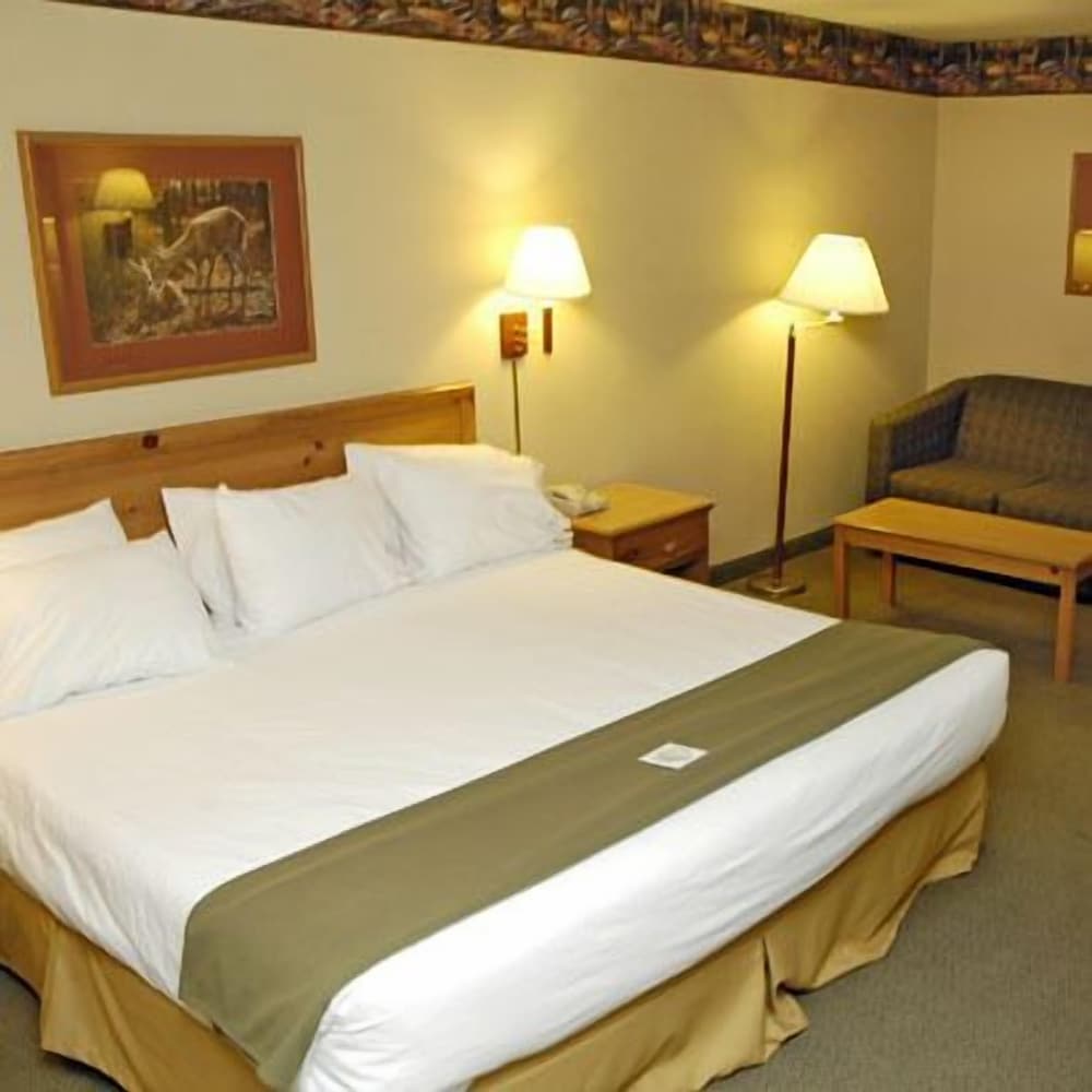 Room, 1 King Bed photo 1