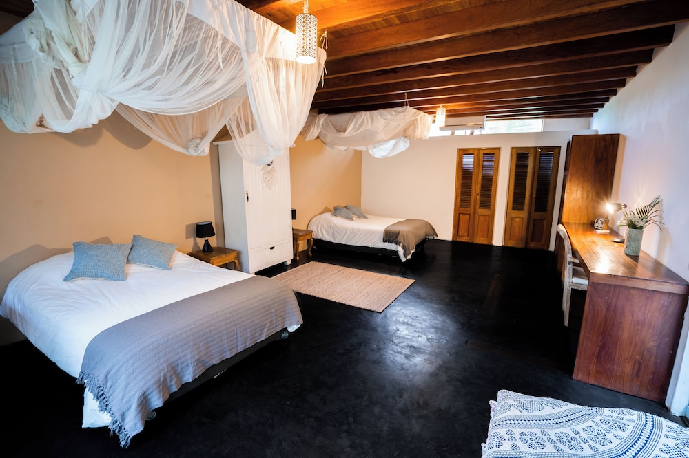 Comfort Double or Twin Room photo 1