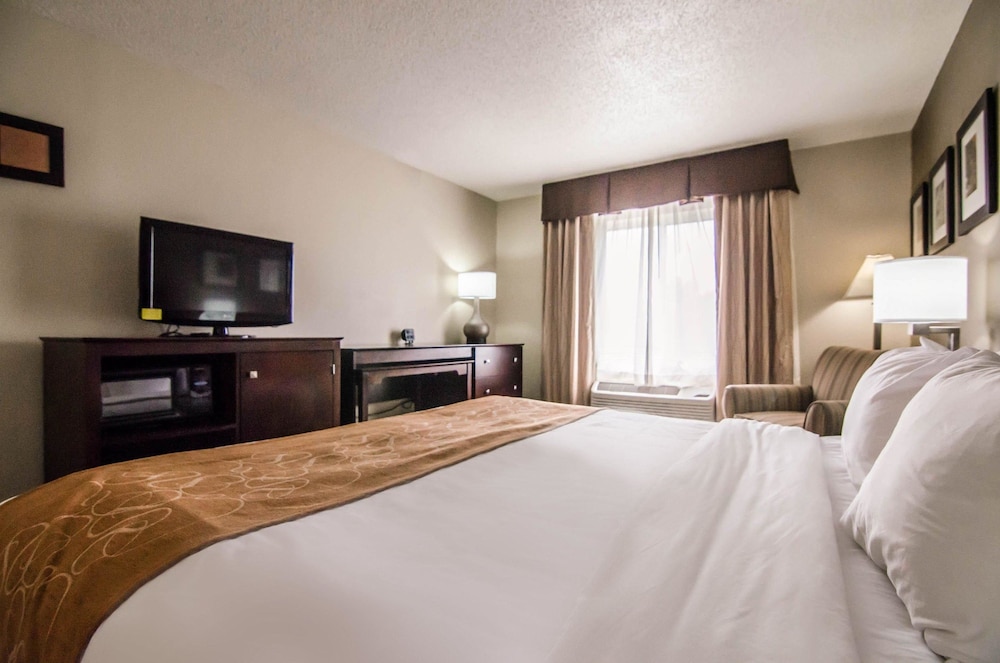 Suite, 1 King Bed, Non Smoking - Photo 7