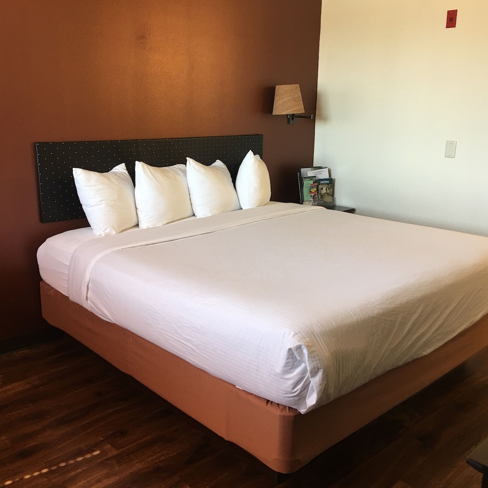 Room, 1 King Bed photo 1