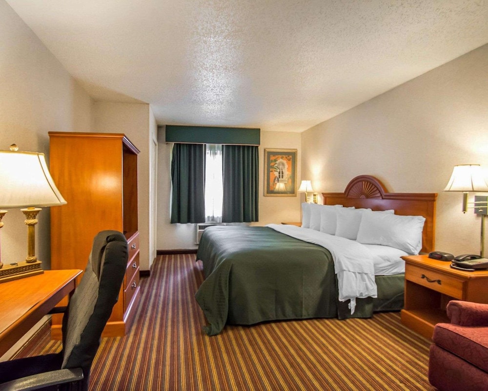 Suite, 1 King Bed With Sofa Bed, Non Smoking