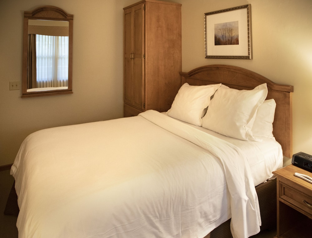 Deluxe Suite, 1 Queen Bed with Sofa bed, Garden View photo 2