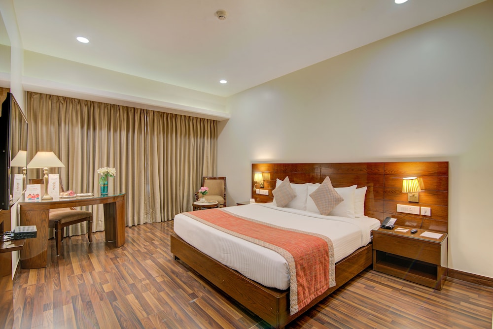 Executive Studio Suite photo 1