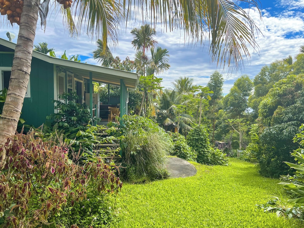 Garden Cottage photo 3