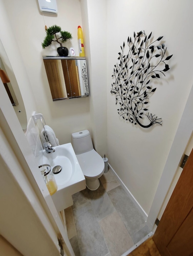 Deluxe Single Room photo 2