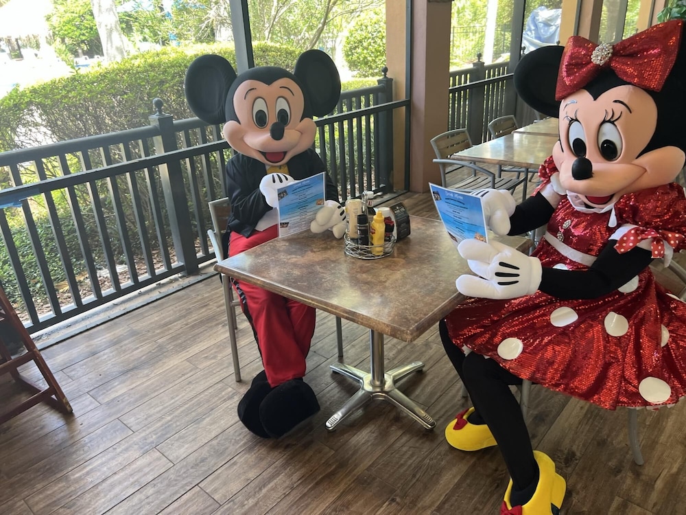 Disney Area Stueetage Parkering Gratis, Billede 25