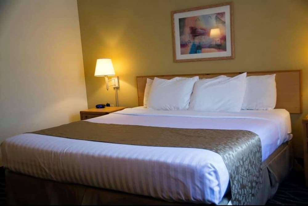 Room, One King Bed, Accessible Roll in Shower, Non Smoking photo 3