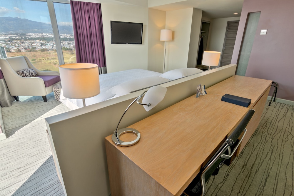 Club Room, 1 King Bed, Mountain View