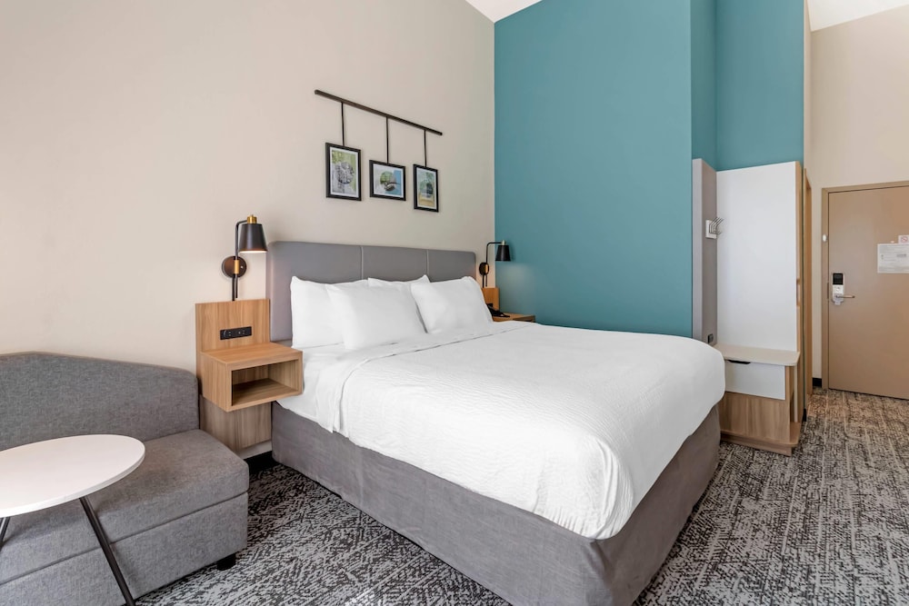 Standard Room, 1 King Bed, Non Smoking