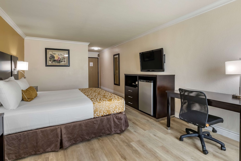 Standard Room, 1 King Bed, Accessible, Bathtub - Photo 5