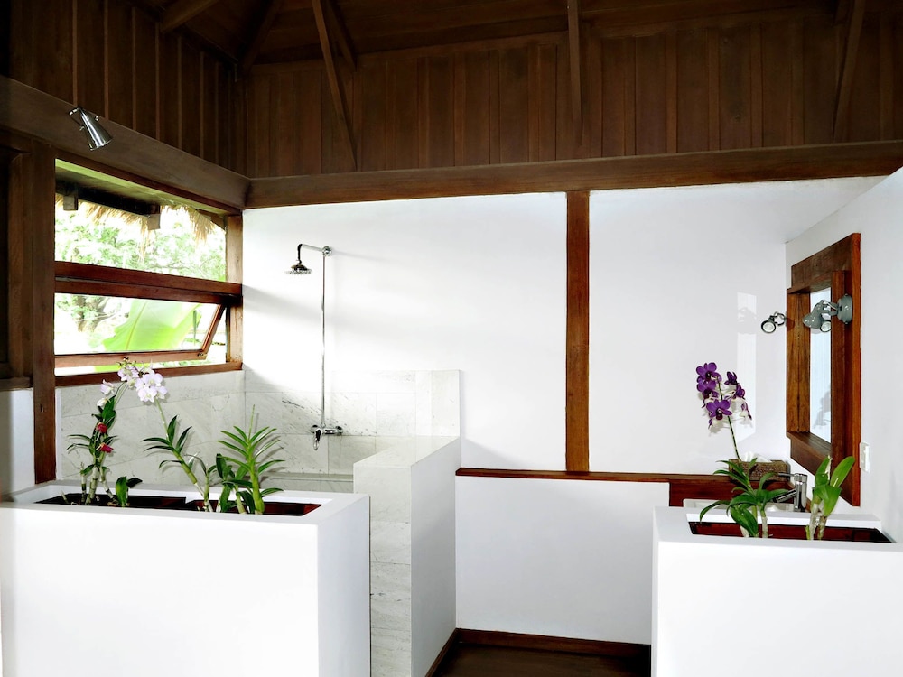 Superior Chalet, 1 King Bed, Terrace photo 3