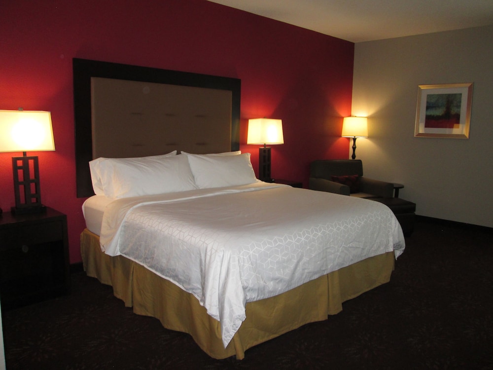 Room, 1 King Bed, Non Smoking (Leisure) - Photo 4