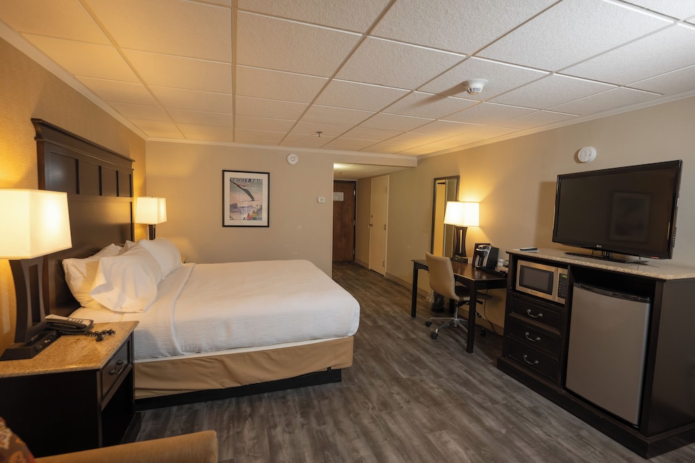 Suite, 1 King Bed, Non Smoking photo 1