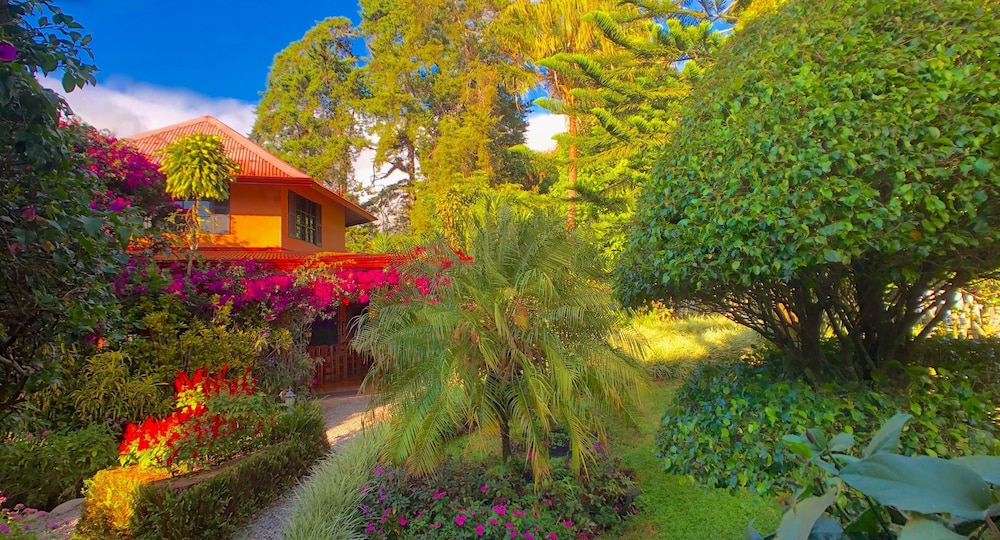 Junior Apartment, 1 Bedroom, Kitchen, Garden View (King), photo 6