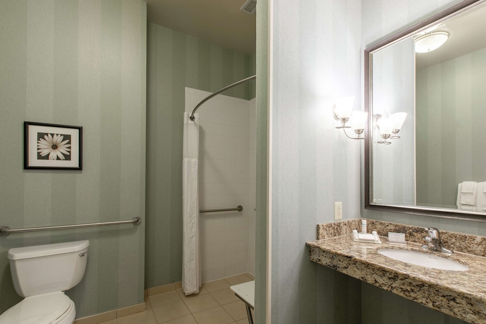 Standard Room, 1 King Bed, Accessible (Roll In Shower) - Photo 5