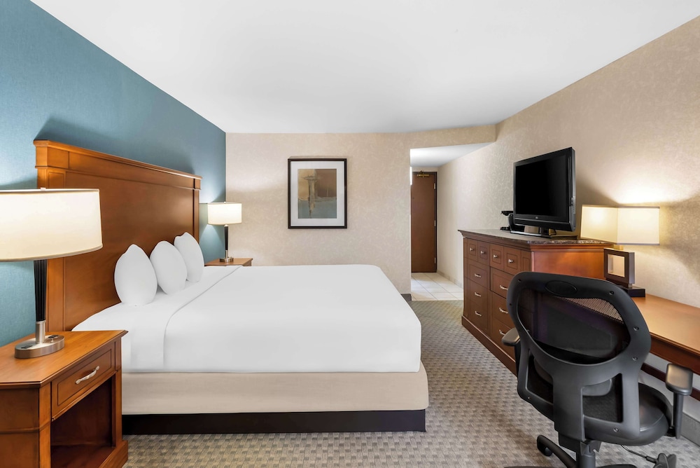 Room, 1 King Bed