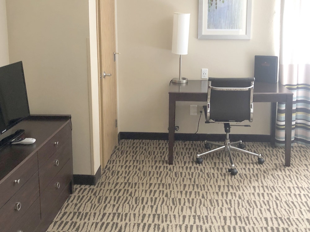 One-King - One Bedroom Suite - Photo 4