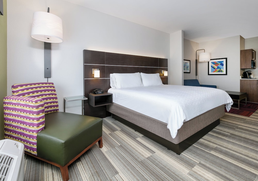 Suite, 1 King Bed - Photo 4