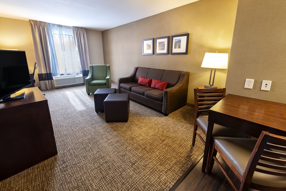 Suite, 1 King Bed with Sofa bed, Non Smoking (Parlor) - Photo 5