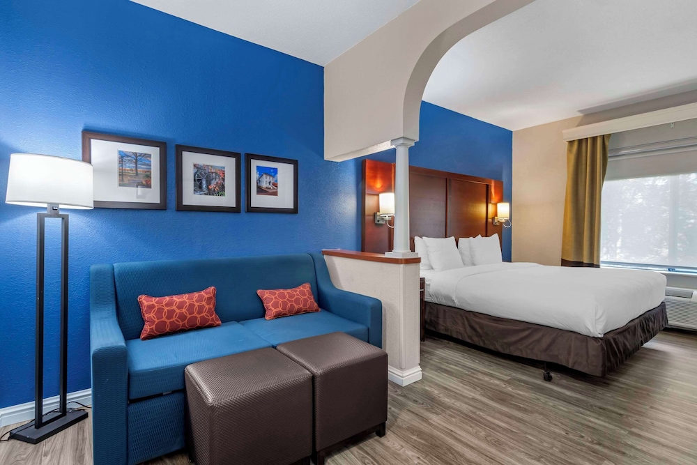 Suite, 1 King Bed with Sofa bed, Accessible, Non Smoking
