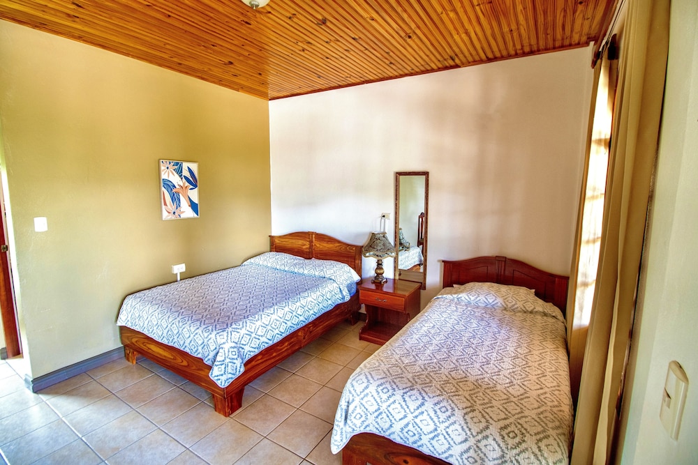 Premium Room photo 2