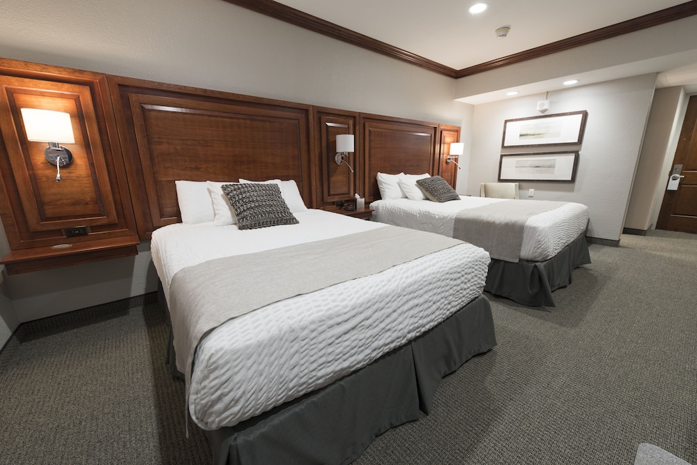 Executive Double Room, 2 Queen Beds photo 2