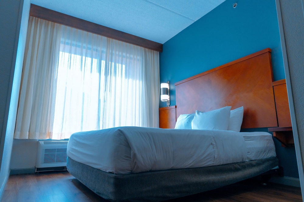 Room, 1 King Bed