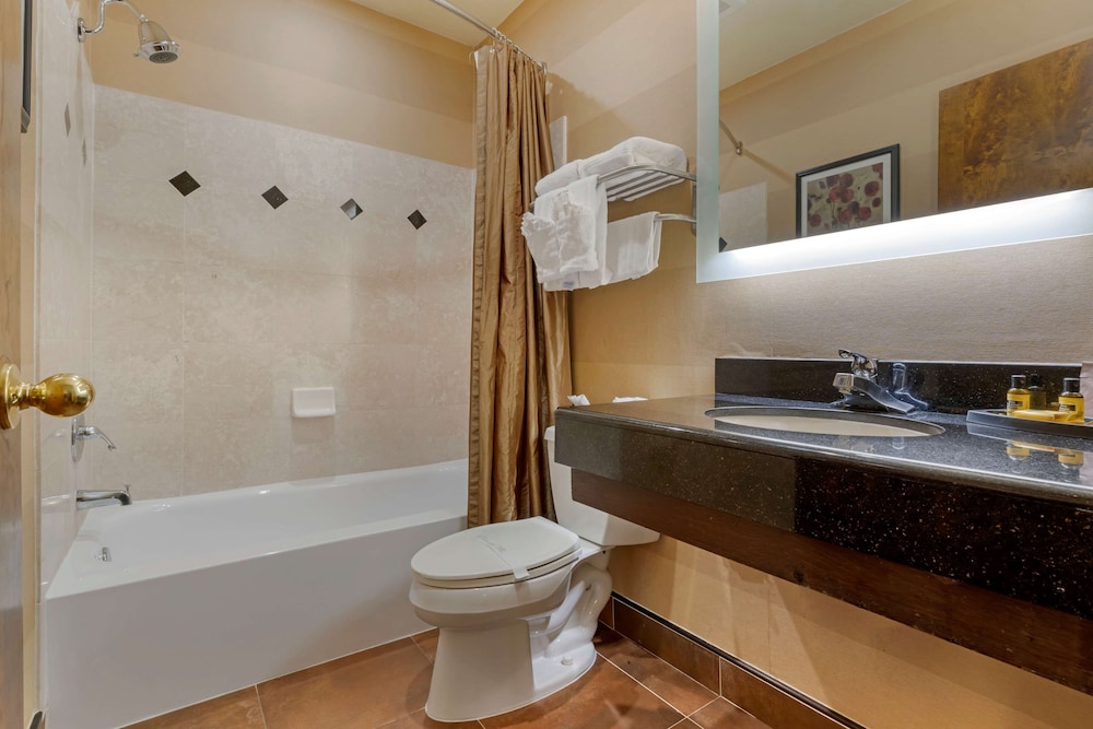 Standard Room, 1 King Bed, Non Smoking, Refrigerator & Microwave - Photo 8
