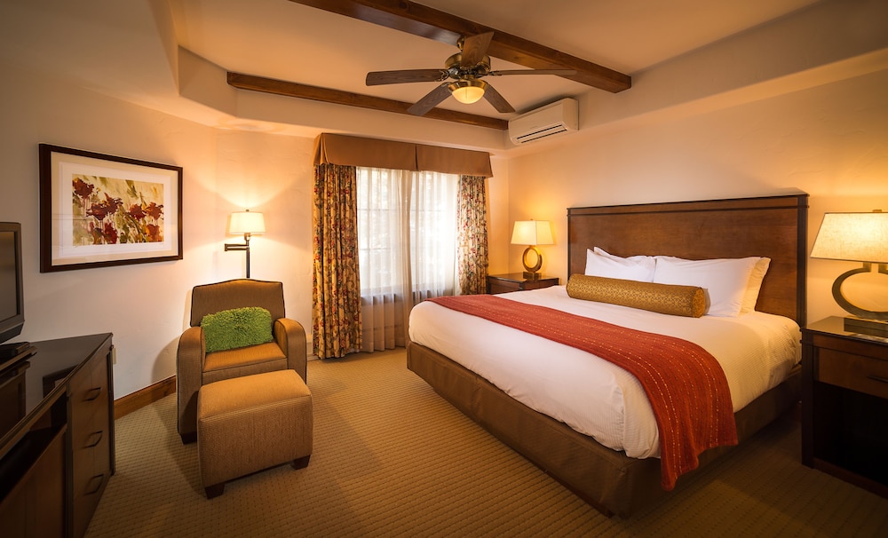 Room, 1 King Bed