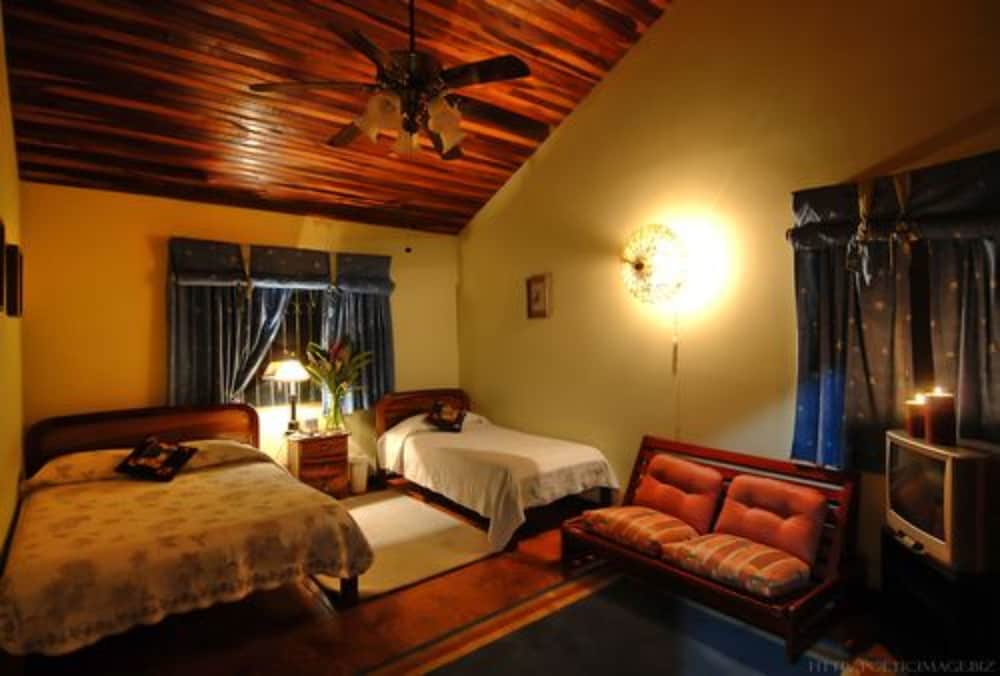 Friendly Suite photo 2
