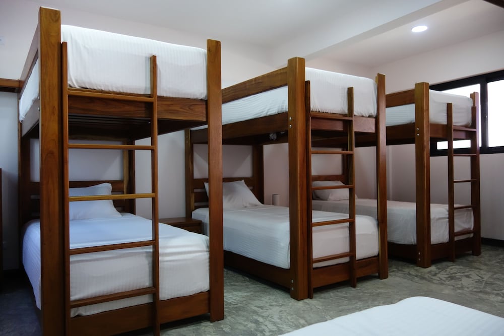 Comfort Shared Dormitory