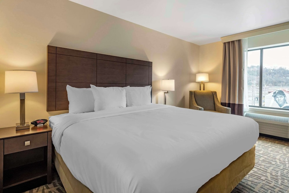 Room, 1 King Bed, Accessible, Non Smoking (Roll-In Shower) - Photo 1