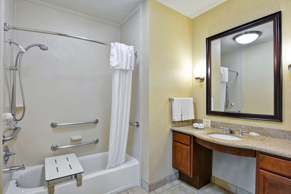 Suite, 1 King Bed, Accessible, Bathtub (Mobility & Hearing) - Photo 4