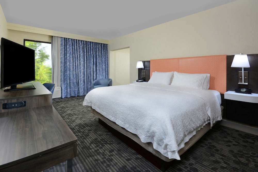 Room, 1 King Bed with Sofa bed, Non Smoking photo 2