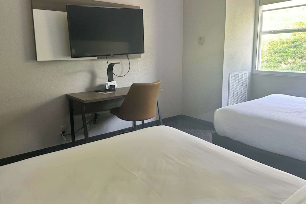 Business Suite, Multiple Beds, Non Smoking photo 2