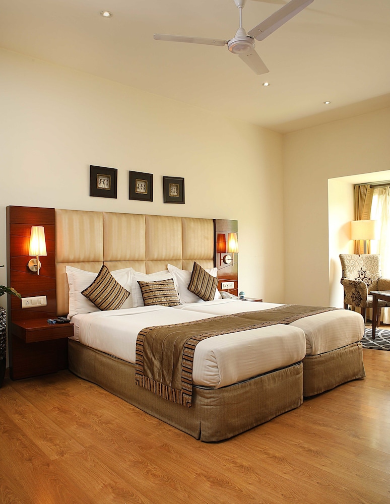 Executive Suite photo 2