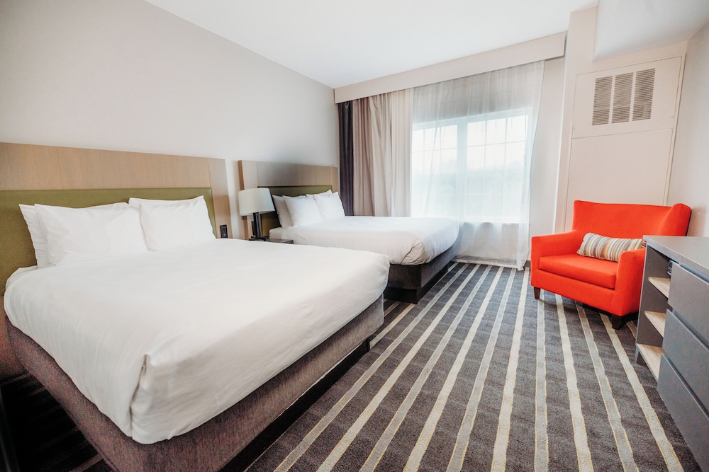 Suite, 1 Bedroom, Non Smoking photo 3