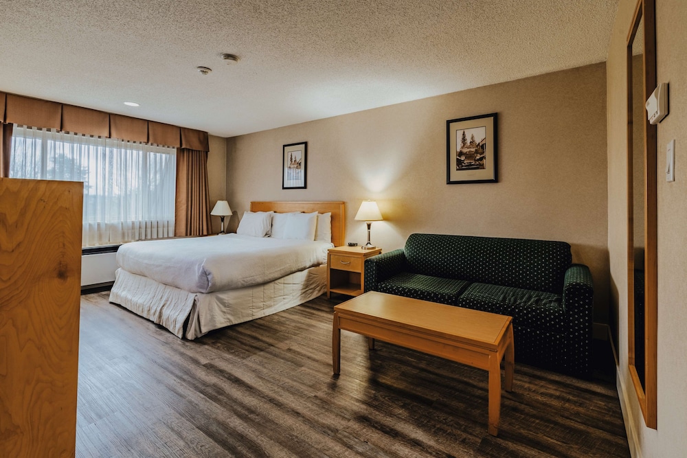 Standard Room, 1 King Bed, Non Smoking, Refrigerator & Microwave - Photo 1