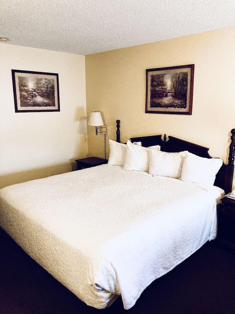 Basic Single Room photo 1