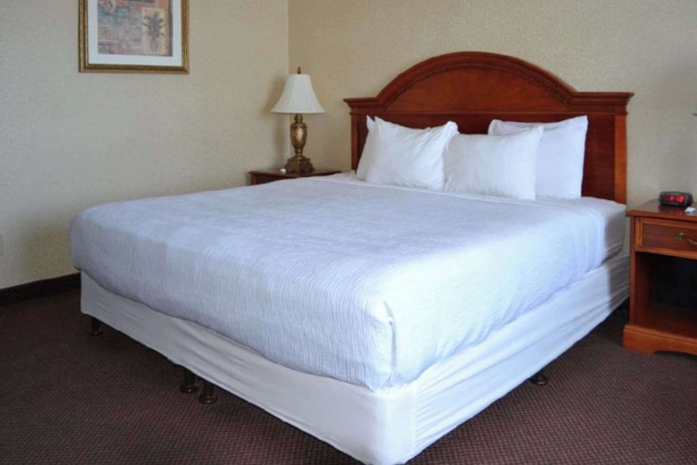 Room, 1 King Bed, Non Smoking - Photo 1
