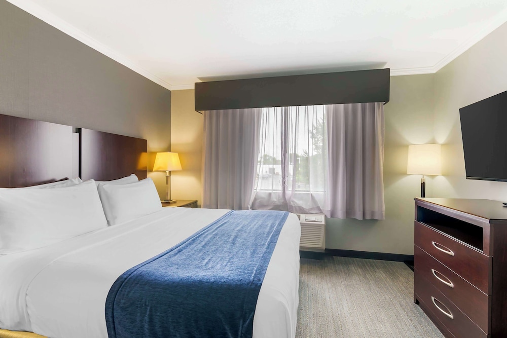 Standard Room, 1 King Bed, Non Smoking, Refrigerator & Microwave (Living Room) - Photo 1