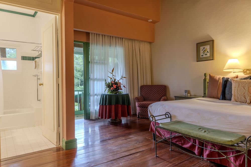 Deluxe Room, 1 King Bed photo 2