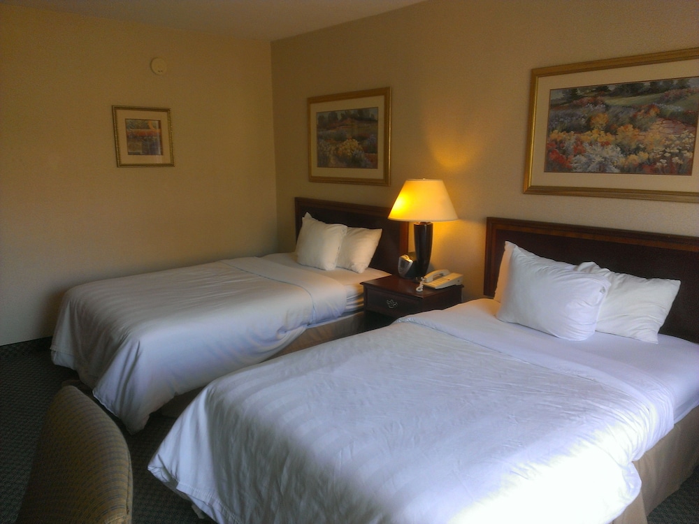 Standard Room, 2 Double Beds, Non Smoking